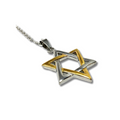 Maguen David Necklace Gold Plated 11156