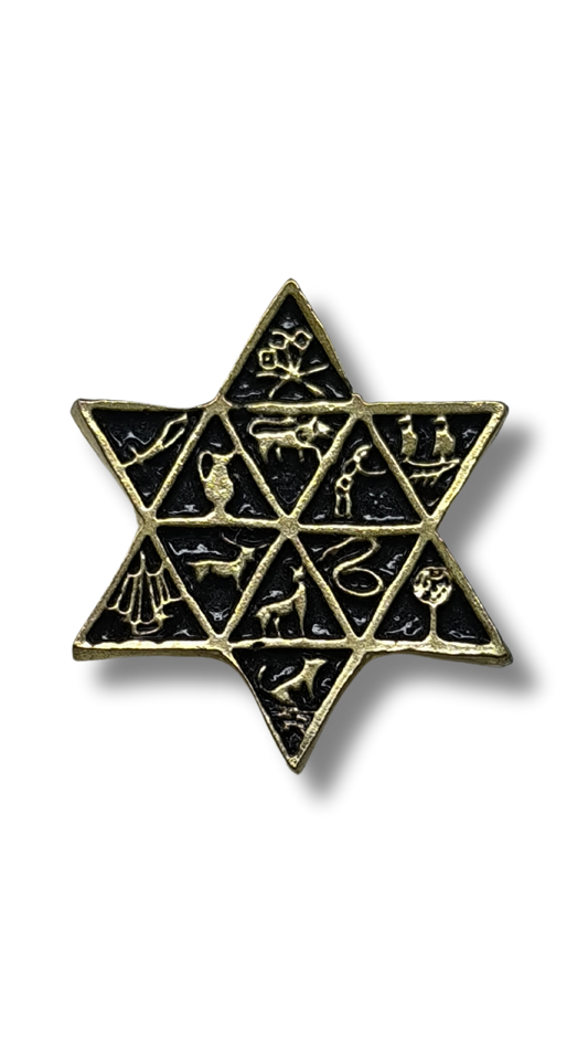 Pin Magen David 12 Tribes 11329