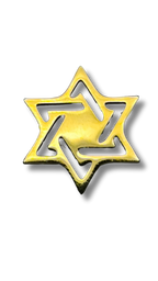 Pin maguen david 11640
