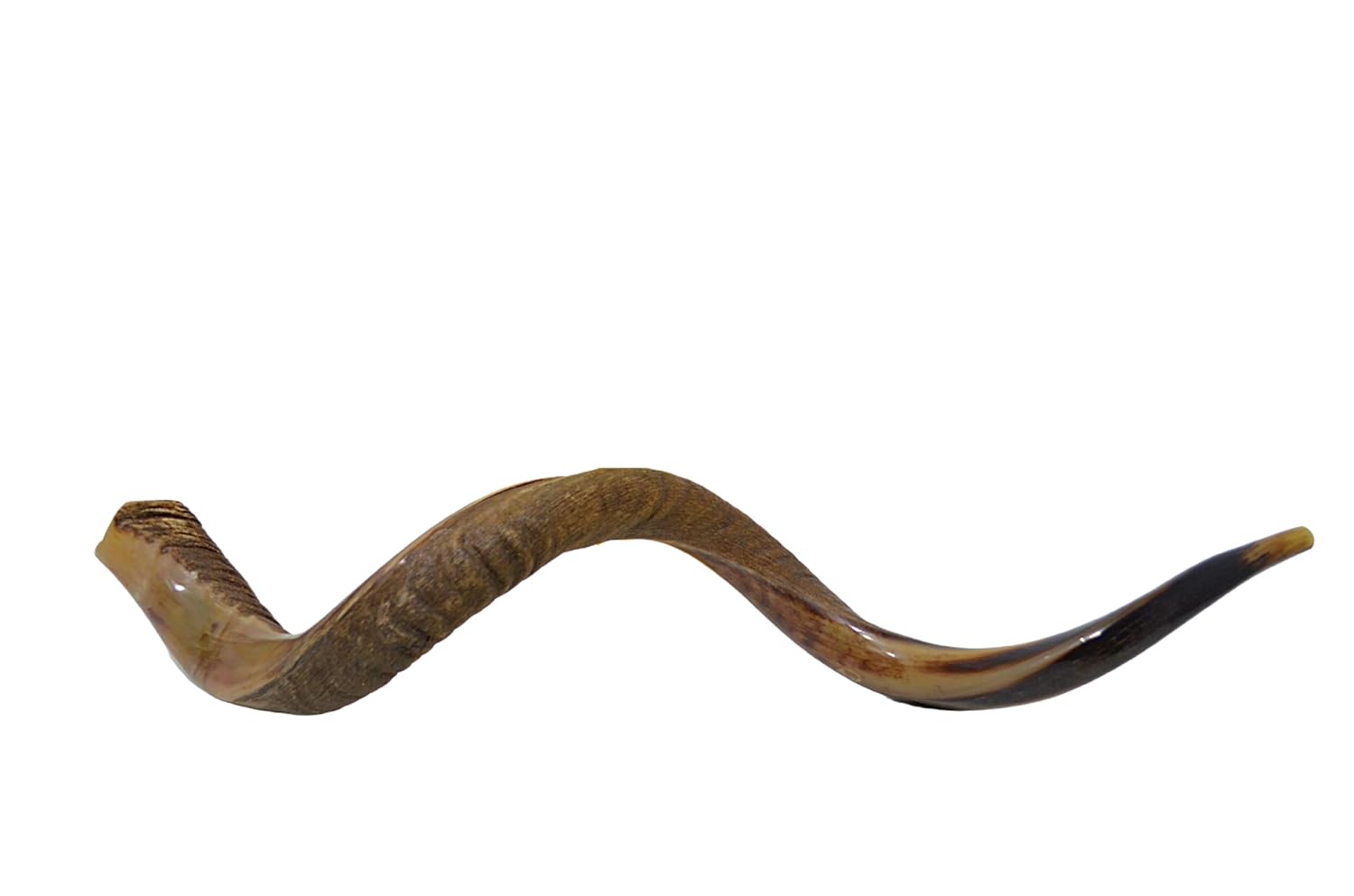 Shofar antílope super jumbo