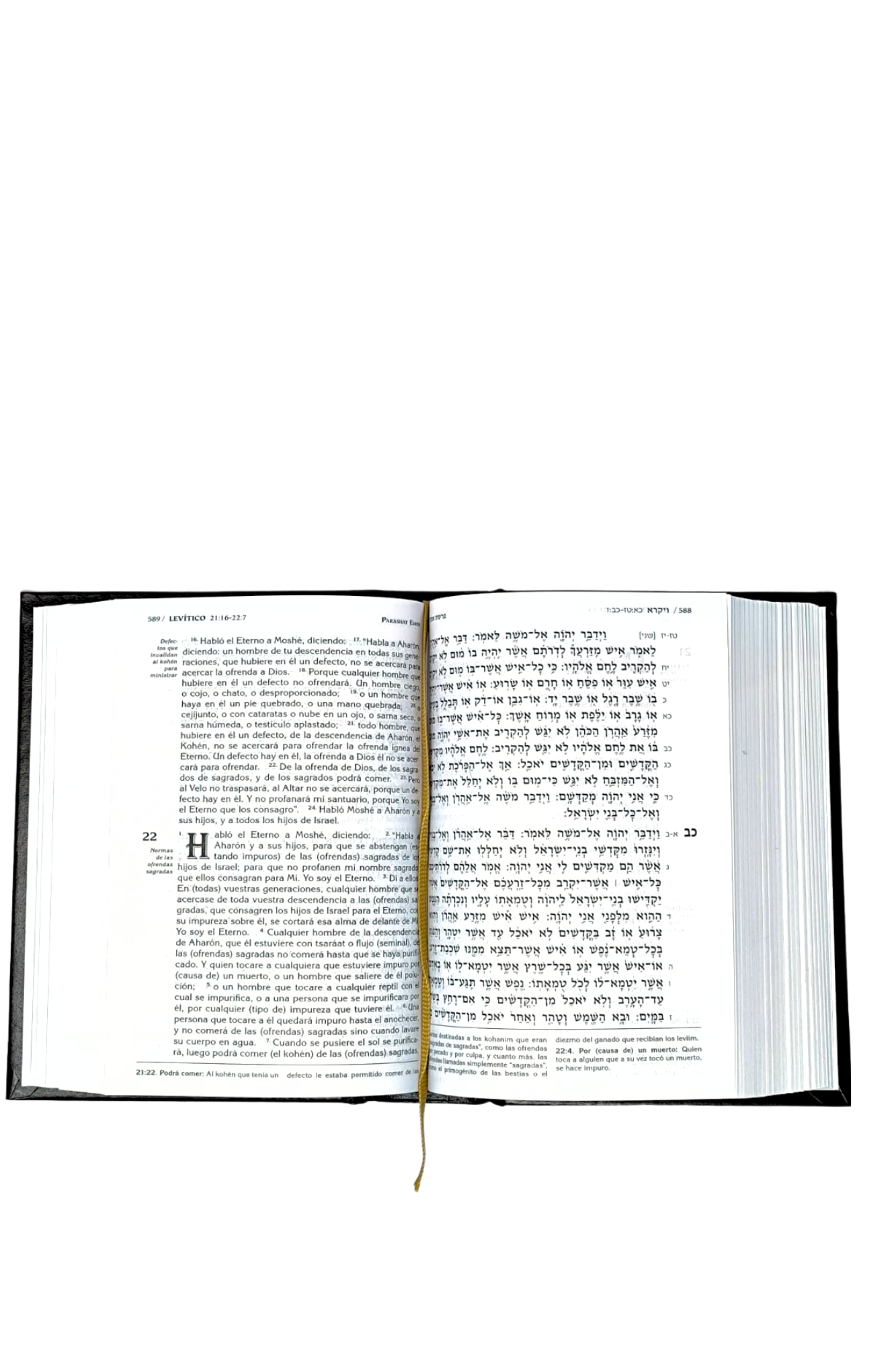 The Torah with small Haftara 463120