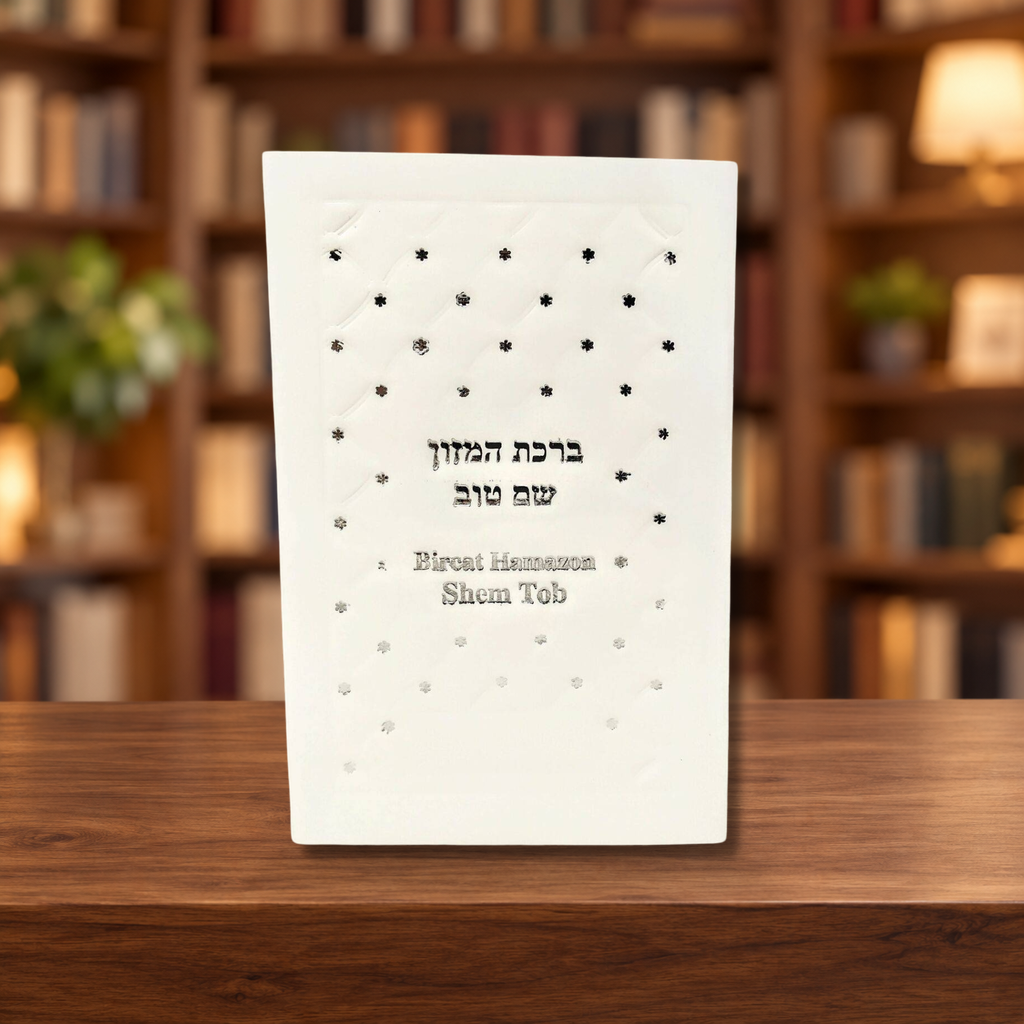 Bircat Hamazon grande Shem Tob pasta blanda 379465 — ambientación en biblioteca