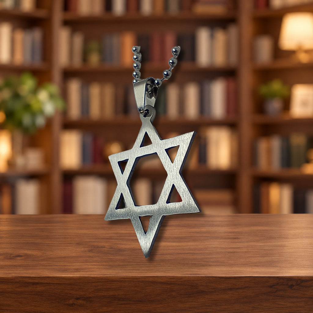 Collar Maguen David acero inoxidable 11082 — ambientación en biblioteca