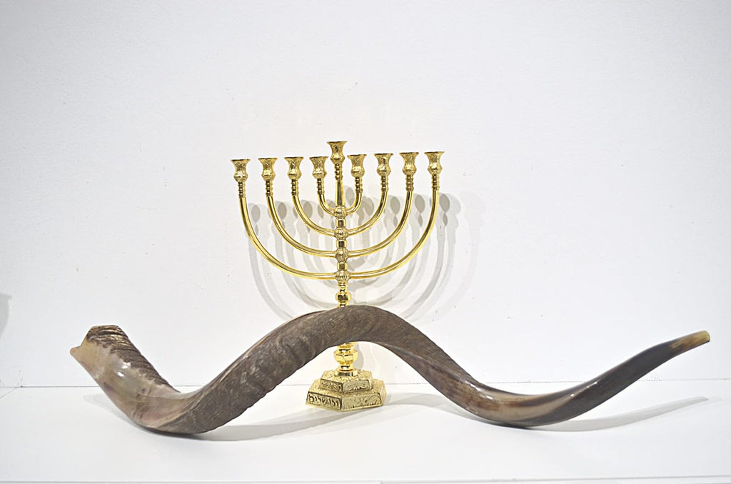 Shofar antílope super jumbo