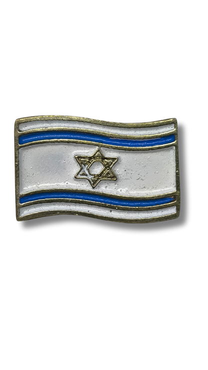 Israel Flag Pin 11271