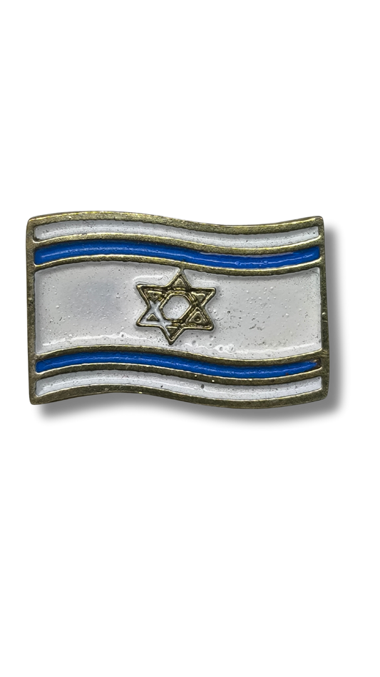 Israel Flag Pin 11271