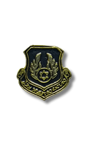 Air Force Shield Pin 11286