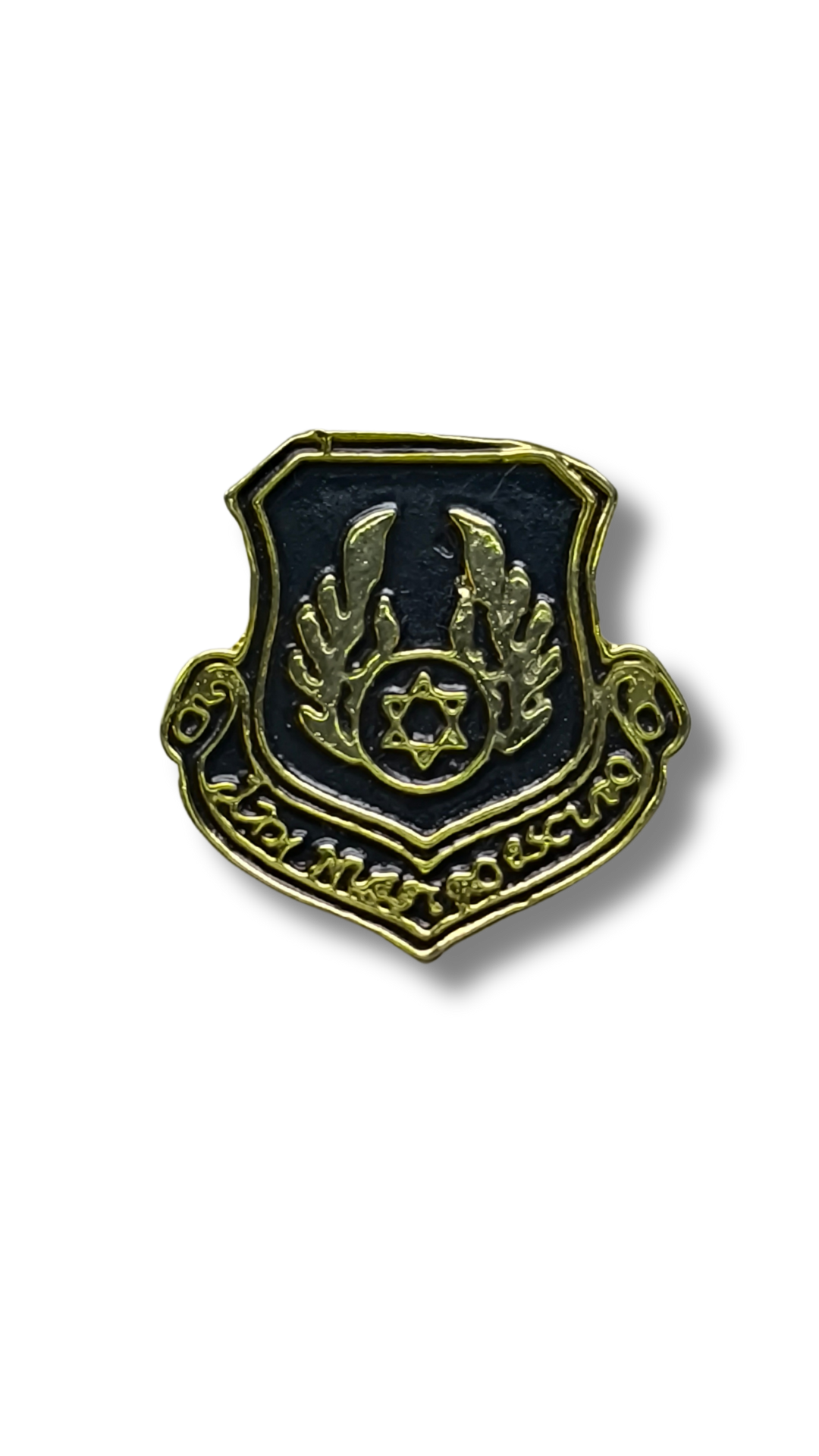 Pin  Escudo Fuerza Aerea 11286