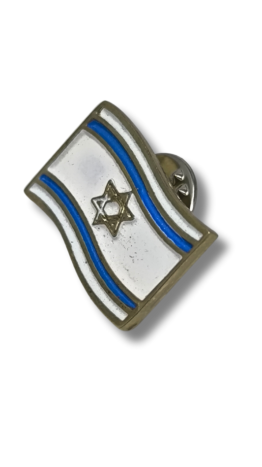 Israel Flag Pin 11271