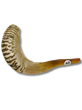 Shofar carnero A5