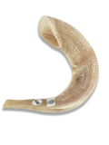 Shofar Carnero A6
