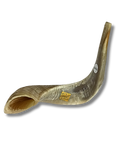 Shofar carnero A8