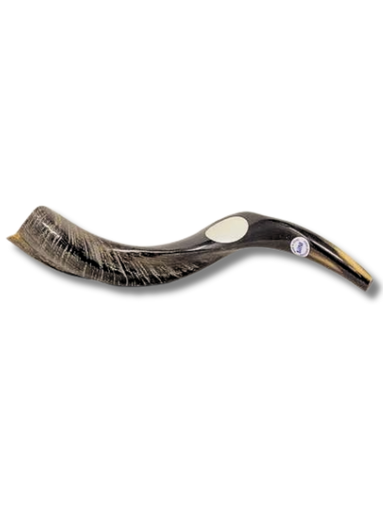 Shofar antilope mini