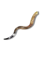 Shofar antilope XL