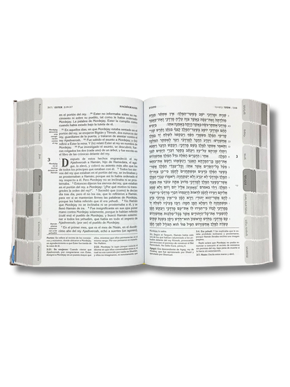 Biblia  Tanaj tomo 4 Hagiografos edición Katz TKH4