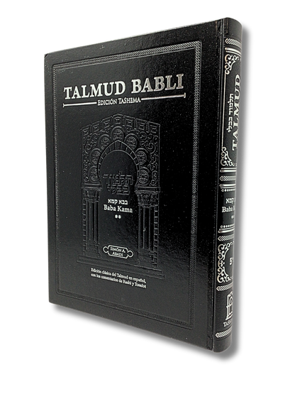 Talmud Tashema Baba Kama volume 2, large (51)