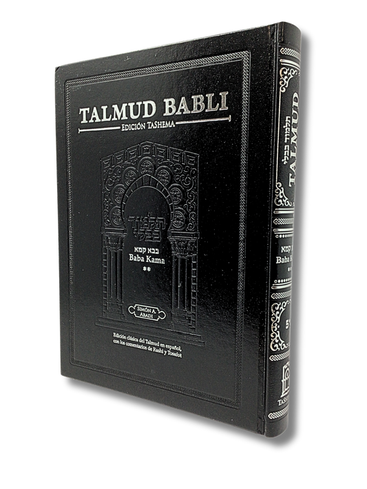 Talmud Tashema Baba Kama volume 2, large (51)