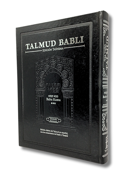 Talmud Tashema Baba Kama volume 3, large (52)