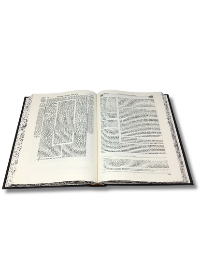 Talmud Tashema Baba Kama volume 1, large (50)