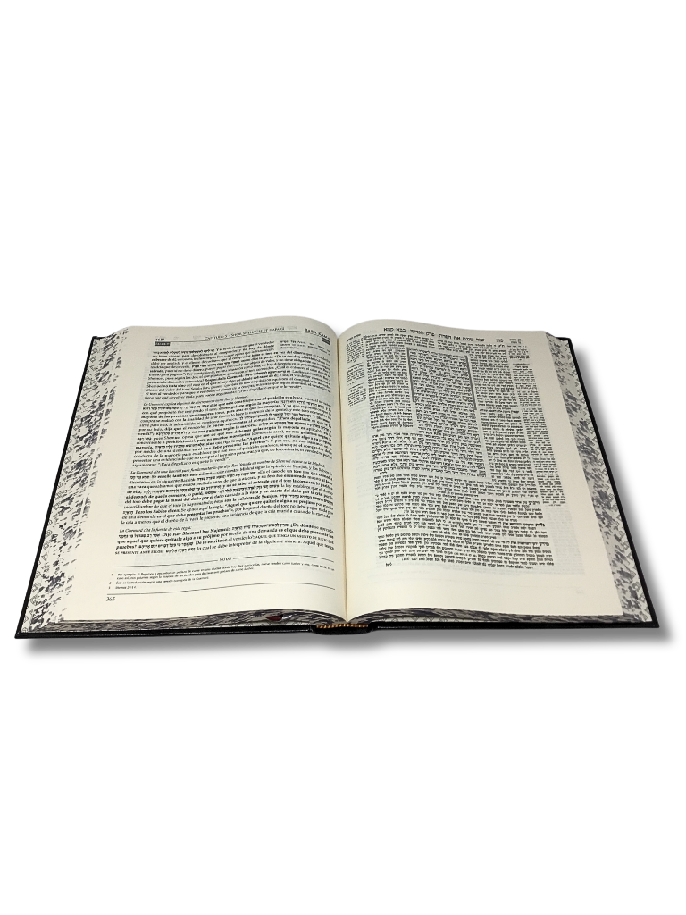 Talmud Tashema Baba Kama volume 2, large (51)