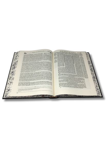 Talmud Tashema Baba Kama volume 2, large (51)