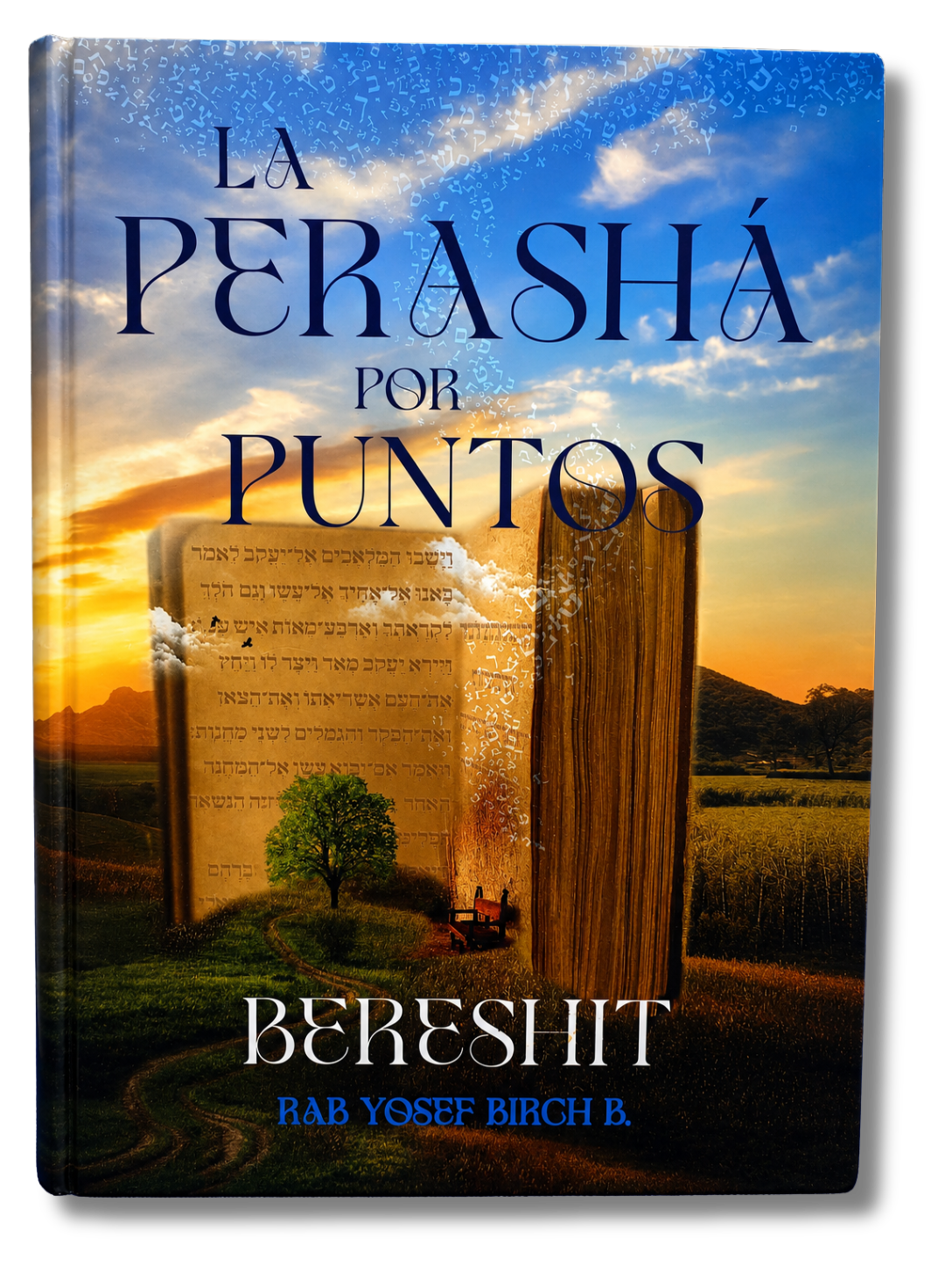 La Perasha por Puntos Bereshit 12270