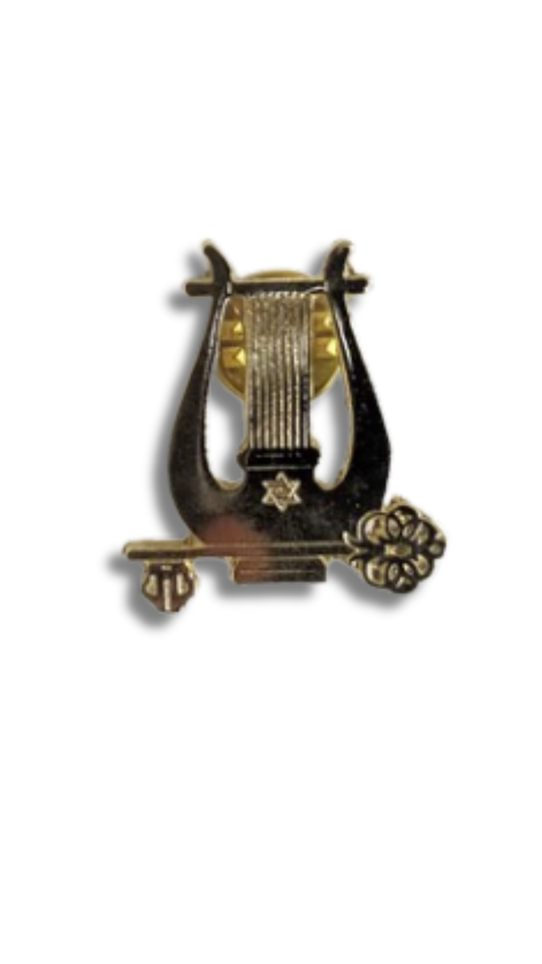 Pin  Arpa de David 11280
