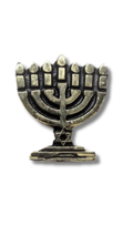 Pin  menora con maguen grande 11269
