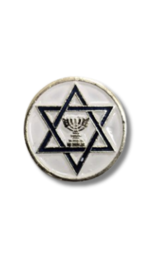 Magen David &amp; Menora Round Pin 11270