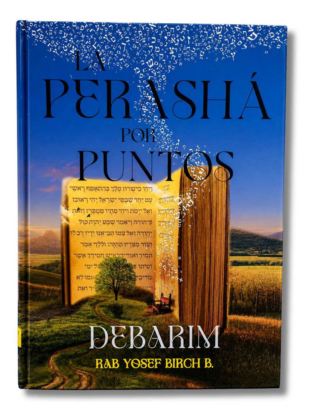La Perasha por Puntos Debarim 12269