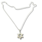 Collar Maguen David Plata 12495
