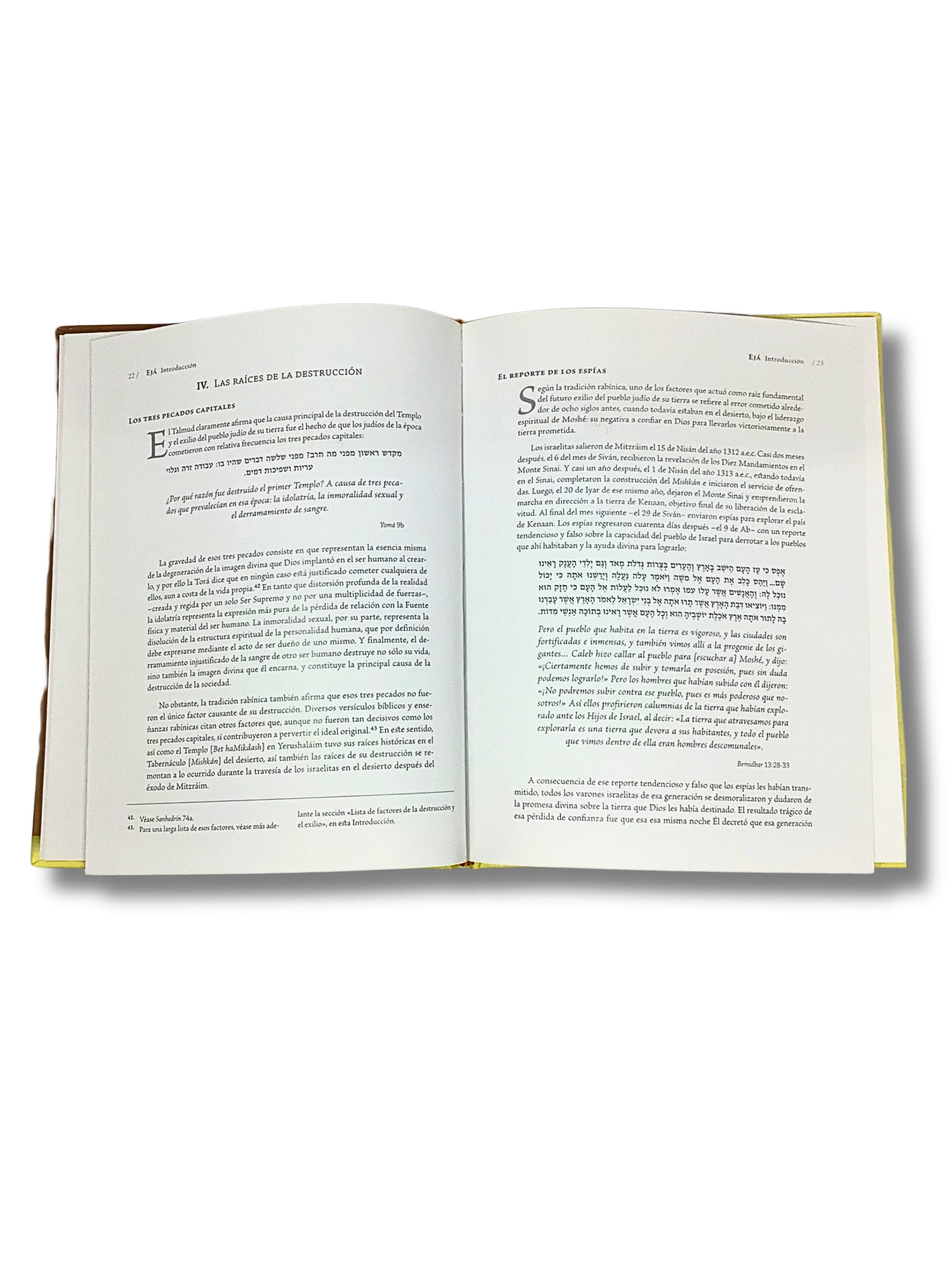 Eja Lamentaciones la Biblia explicada