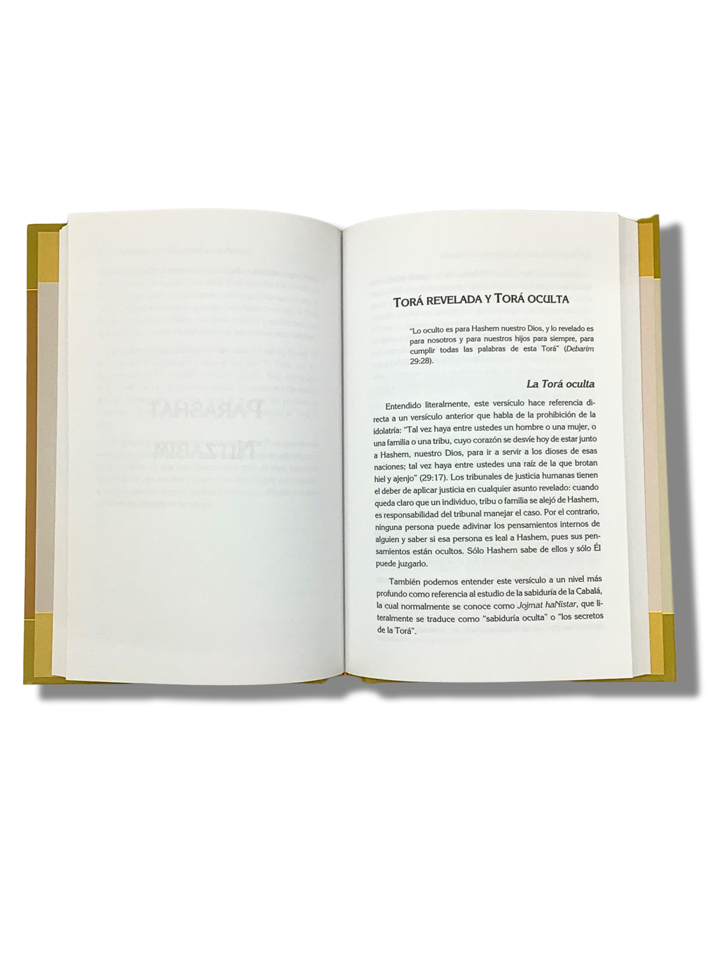 Sefer Devarim Ladder of Light