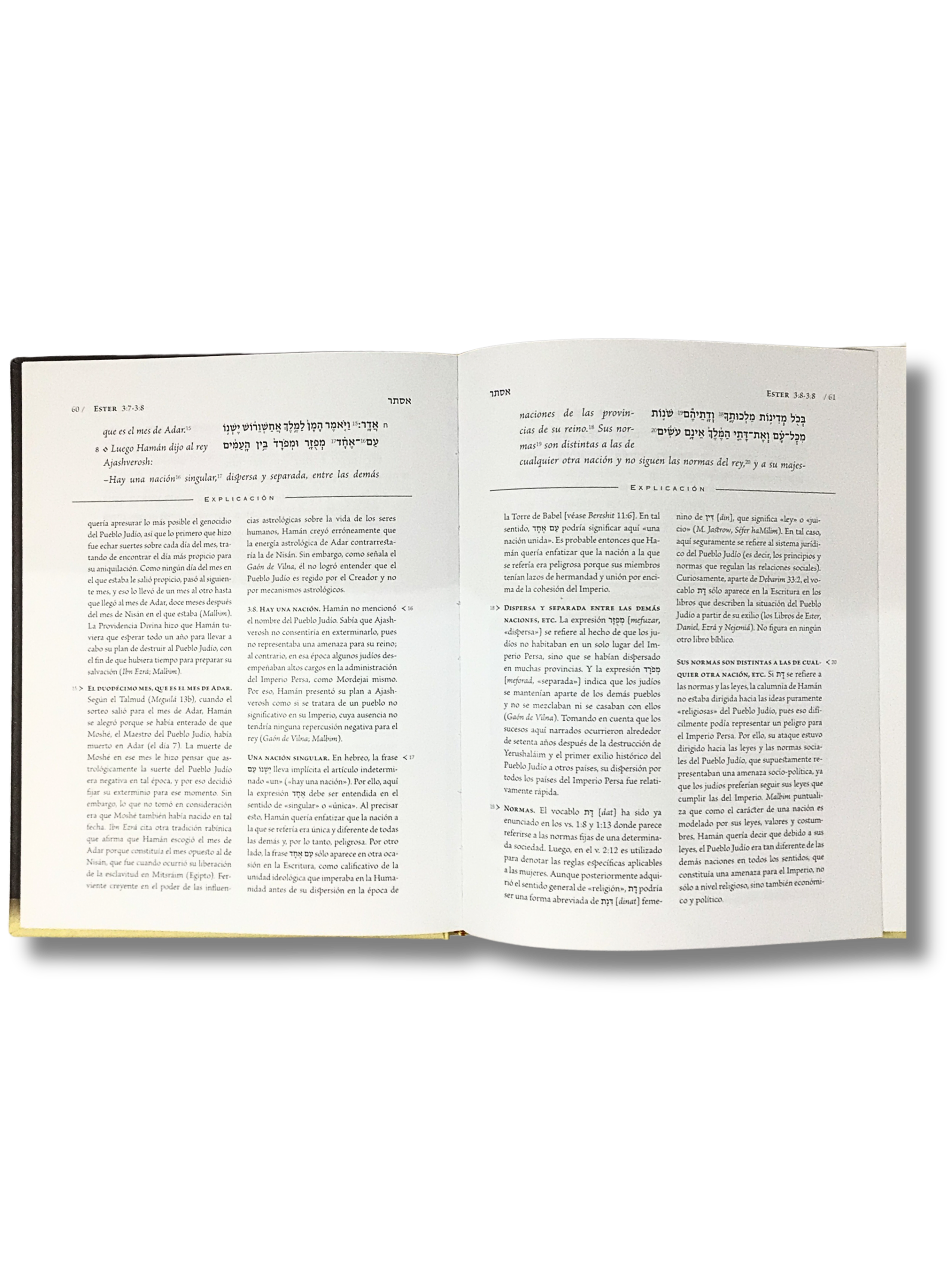 El Libro de Ester la Biblia explicada Grande
