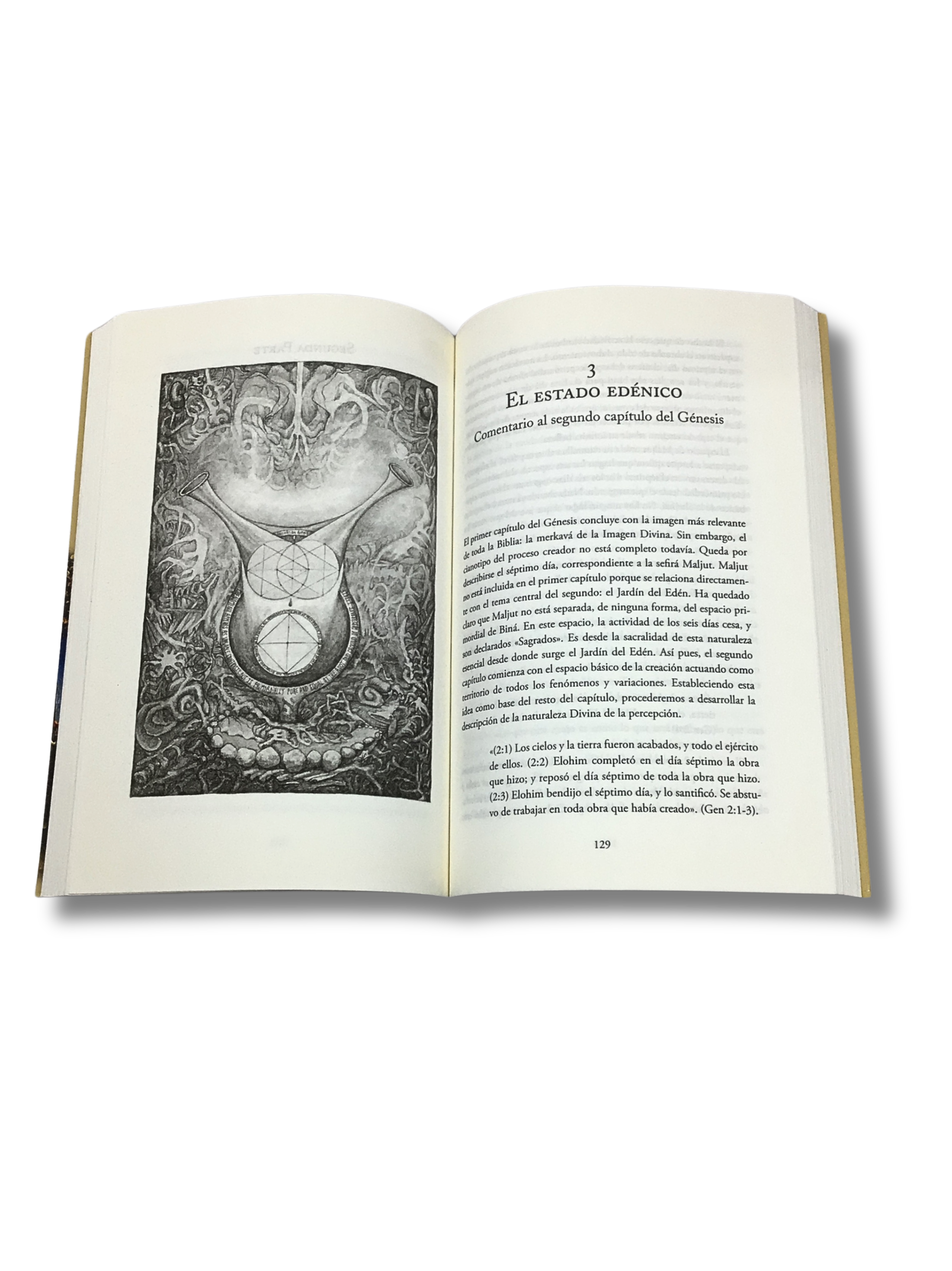 El Espejo Cabalistico del Genesis