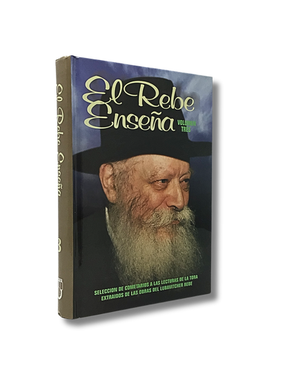 The Rebbe Teaches Volume 3