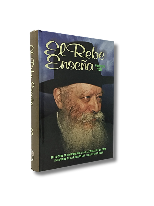 The Rebbe Teaches Volume 3