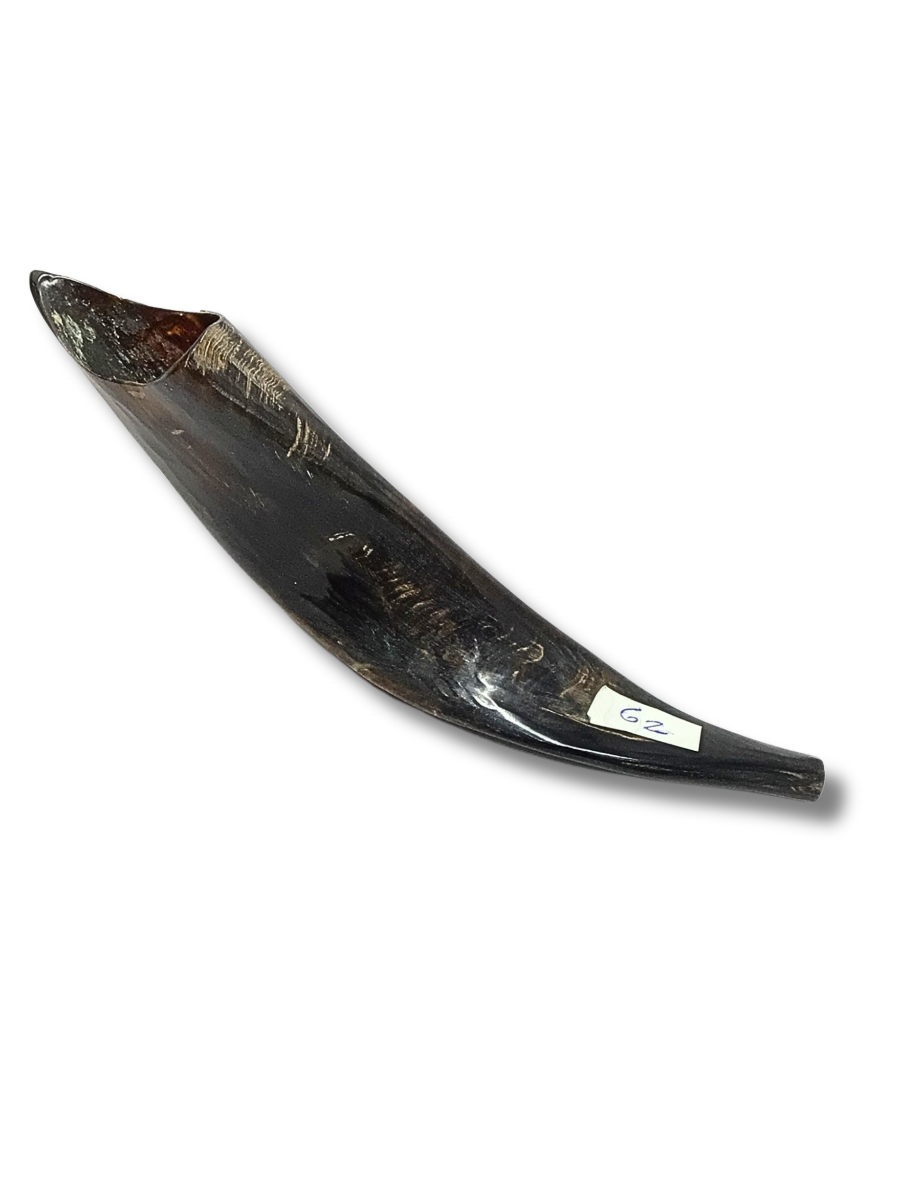 Shofar cabra G2