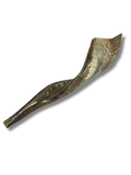 Shofar cabra G4