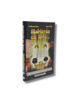 Hablaras de Torá Bamidbar