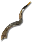 jumbo antelope shofar