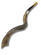 Shofar antílope jumbo