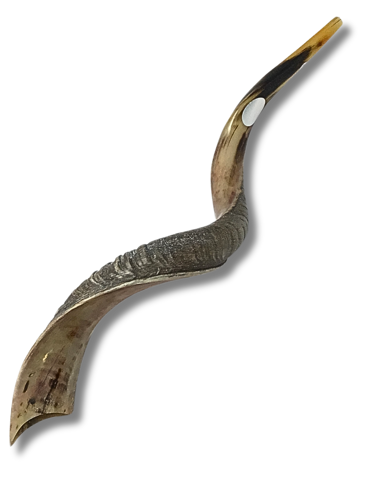 Shofar antílope jumbo