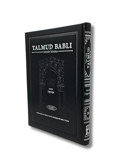 Talmud Tashema Large Chaggiga (28)