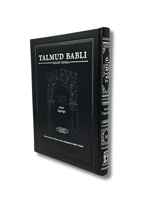 Talmud Tashema Large Chaggiga (28)