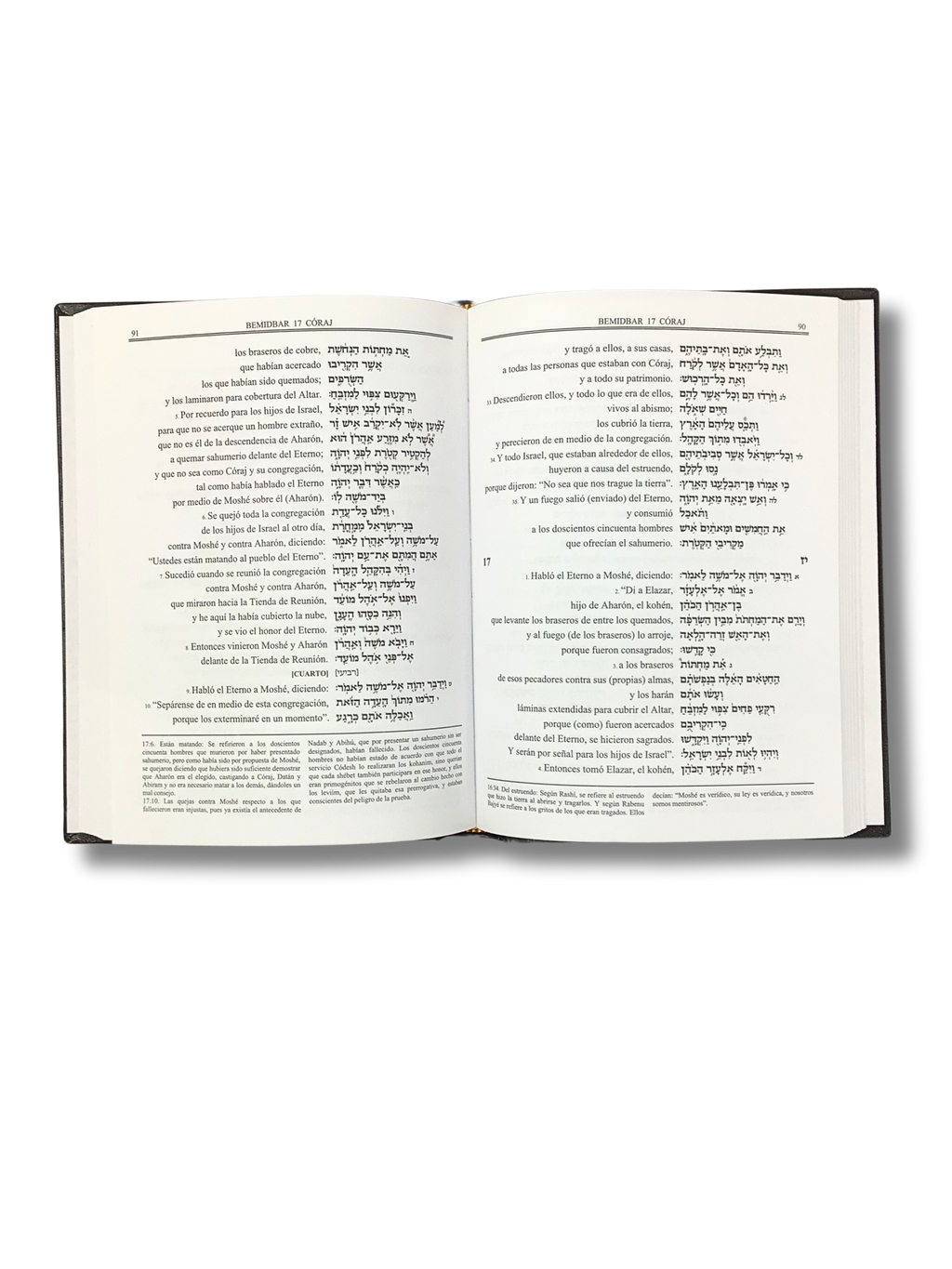 The Linear Torah Bamidbar