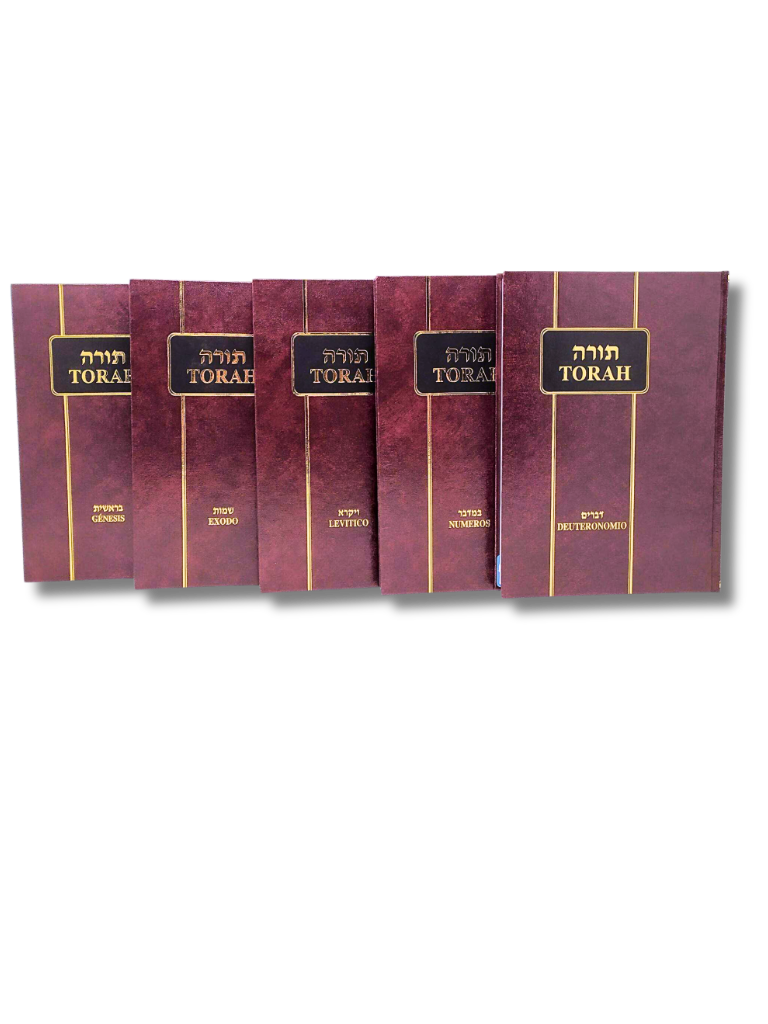 Tora Sinai juego de 5 tomos