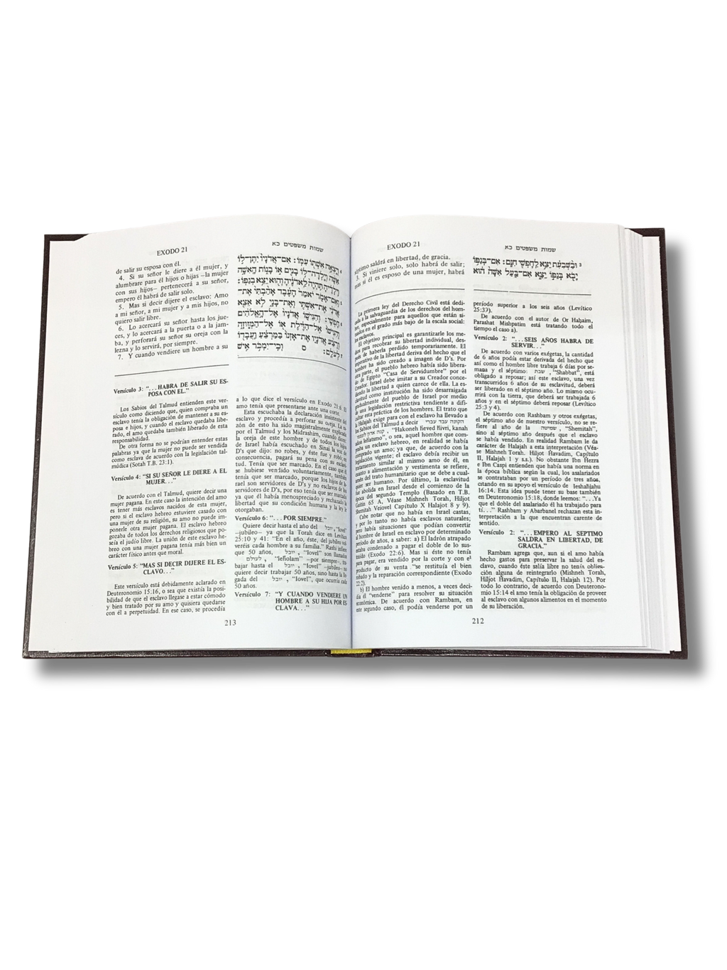 Tora Sinai juego de 5 tomos