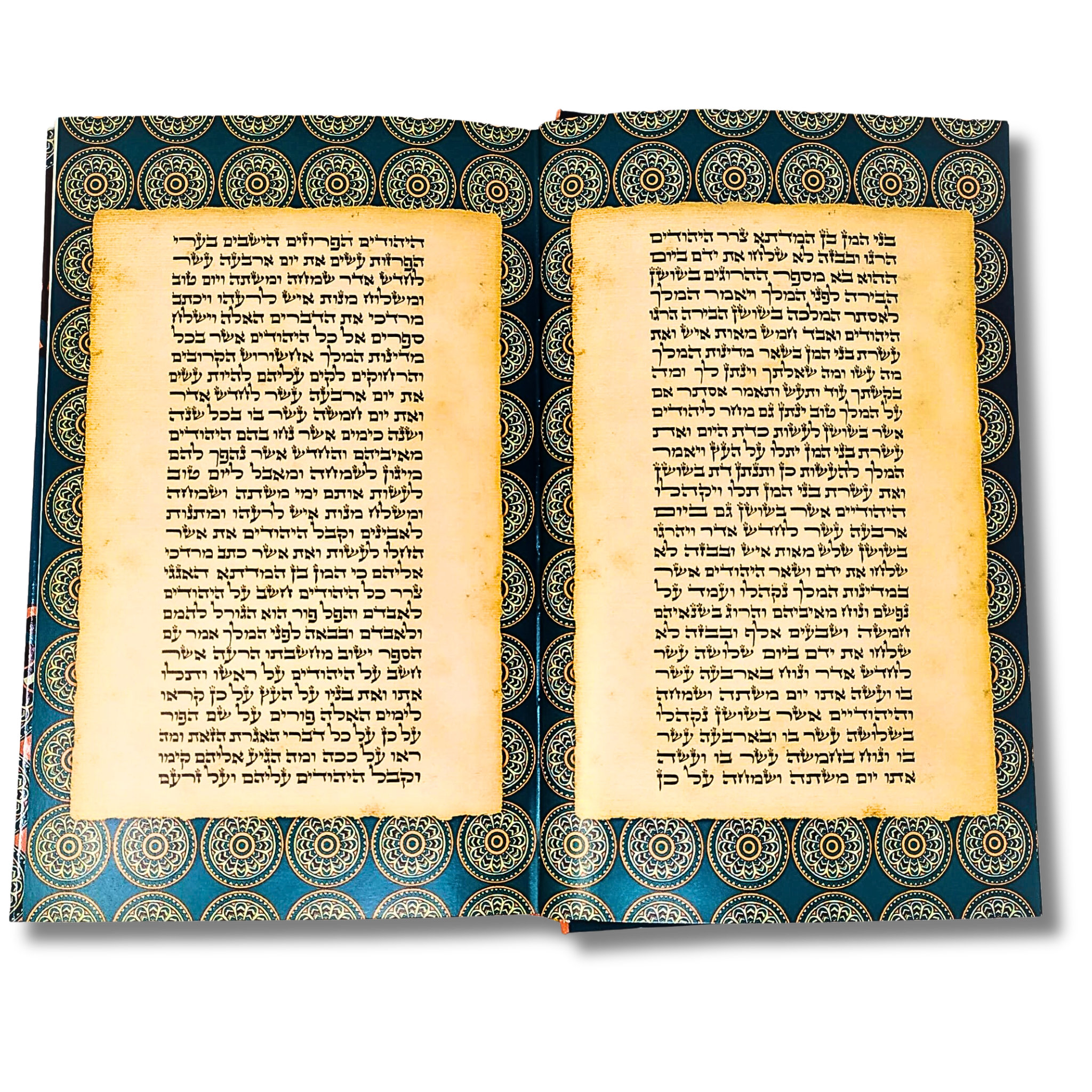 Meguilat Ester Rab David Tabachnik