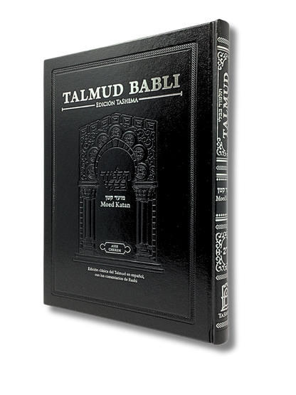 Talmud Tashema Moed Katan, large (27)